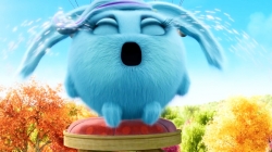 خرگوش های درخشان (تولد)